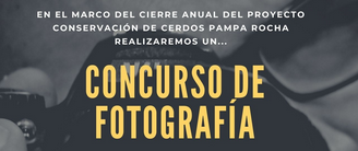 Concurso de fotografía - Proyecto P