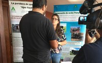 dando la nota